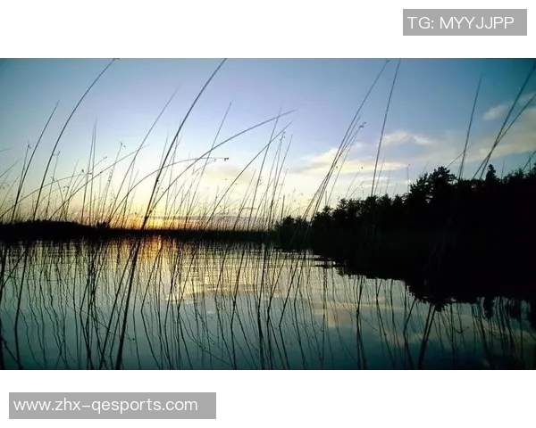 如何正确书写汉字足球中的足字及其构成解析 如何正确书写汉字足球中的足字及其构成解析